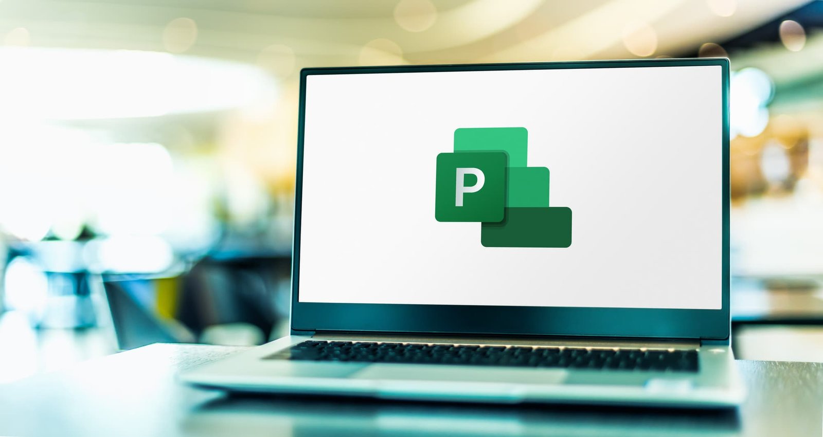 MS Office Project Professional 2019
